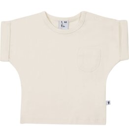 Klein T-shirt Pocket Arctic Wolf