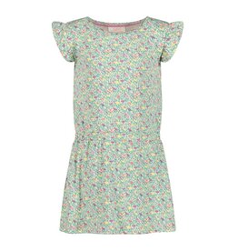 Jubel Jurk AOP - Picknick Perfect Groen