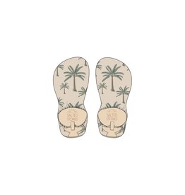 Salted Stories Crown Tree | Water Shoes