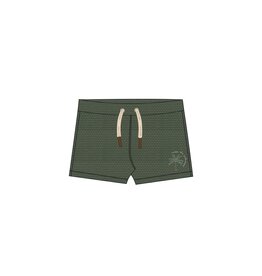 Salted Stories Solid | Swim Trunks Bronze Green