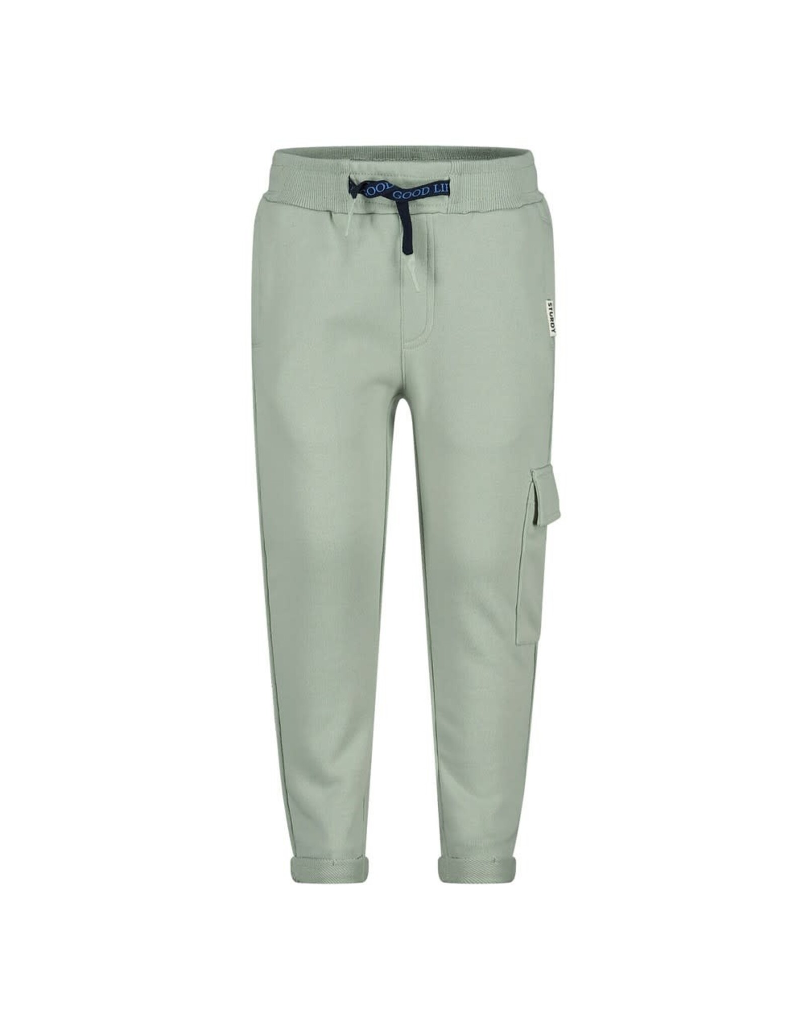 Sturdy Broek - The Good Life Mint