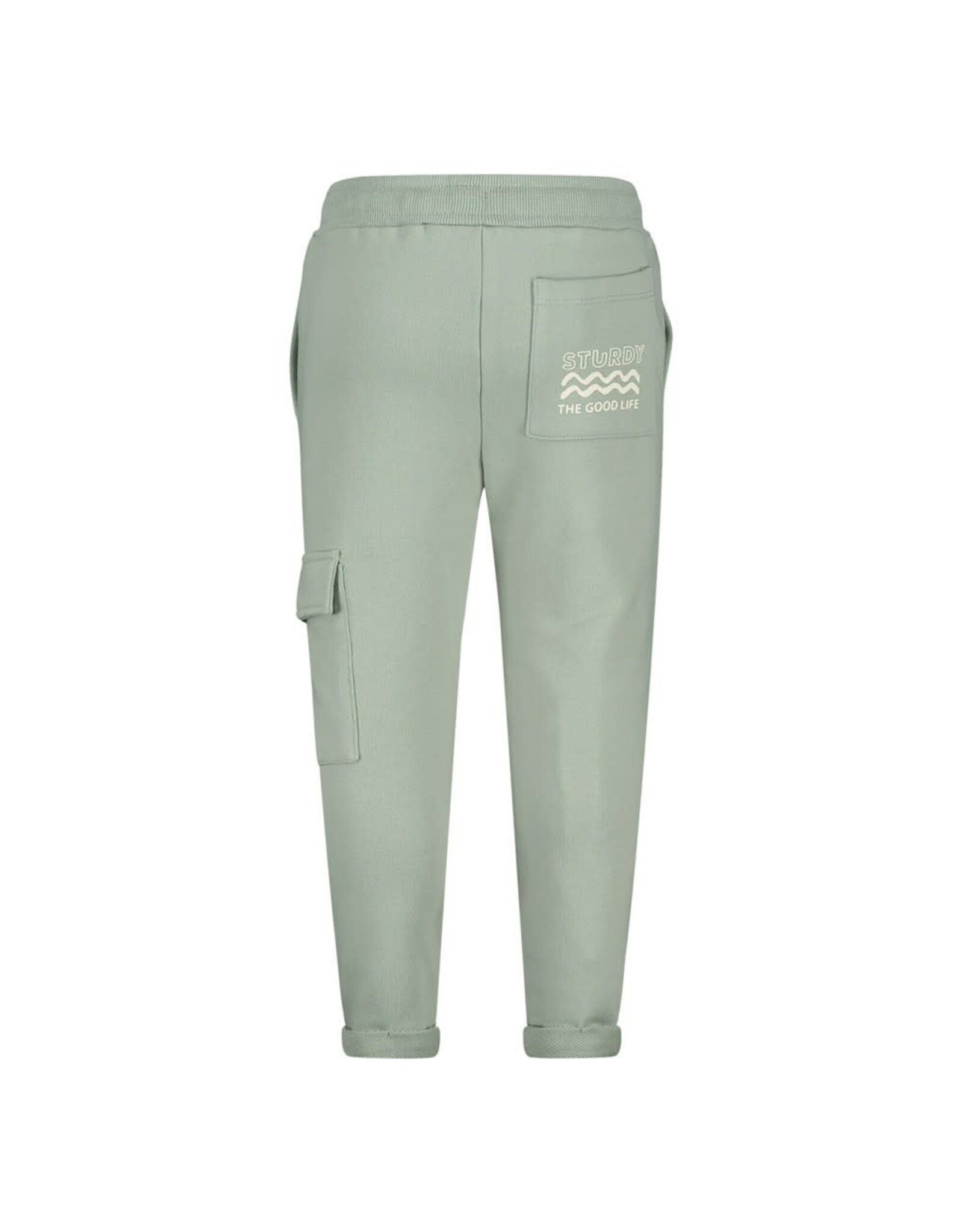 Sturdy Broek - The Good Life Mint