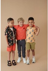 Sturdy T-shirt AOP - Happy Rio Perzik