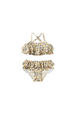 Salted Stories Lemons Bikini Shortbread