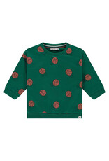BABYFACE baby boys sweatshirt turtle