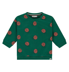 BABYFACE baby boys sweatshirt turtle 2 BABYFACE baby boys sweatshirt turtle 2