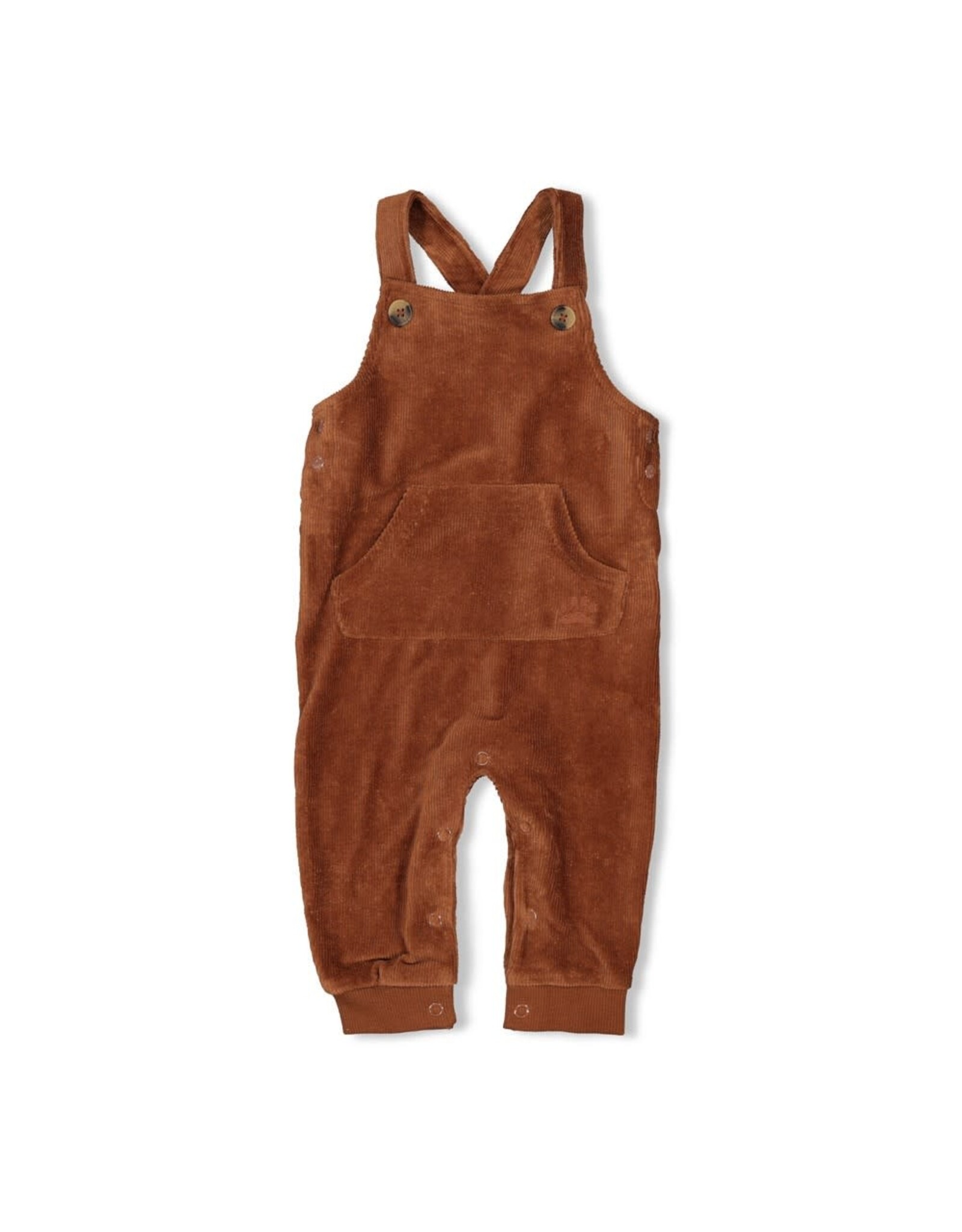 Feetje Tuinbroek velours rib - Wild World Bruin