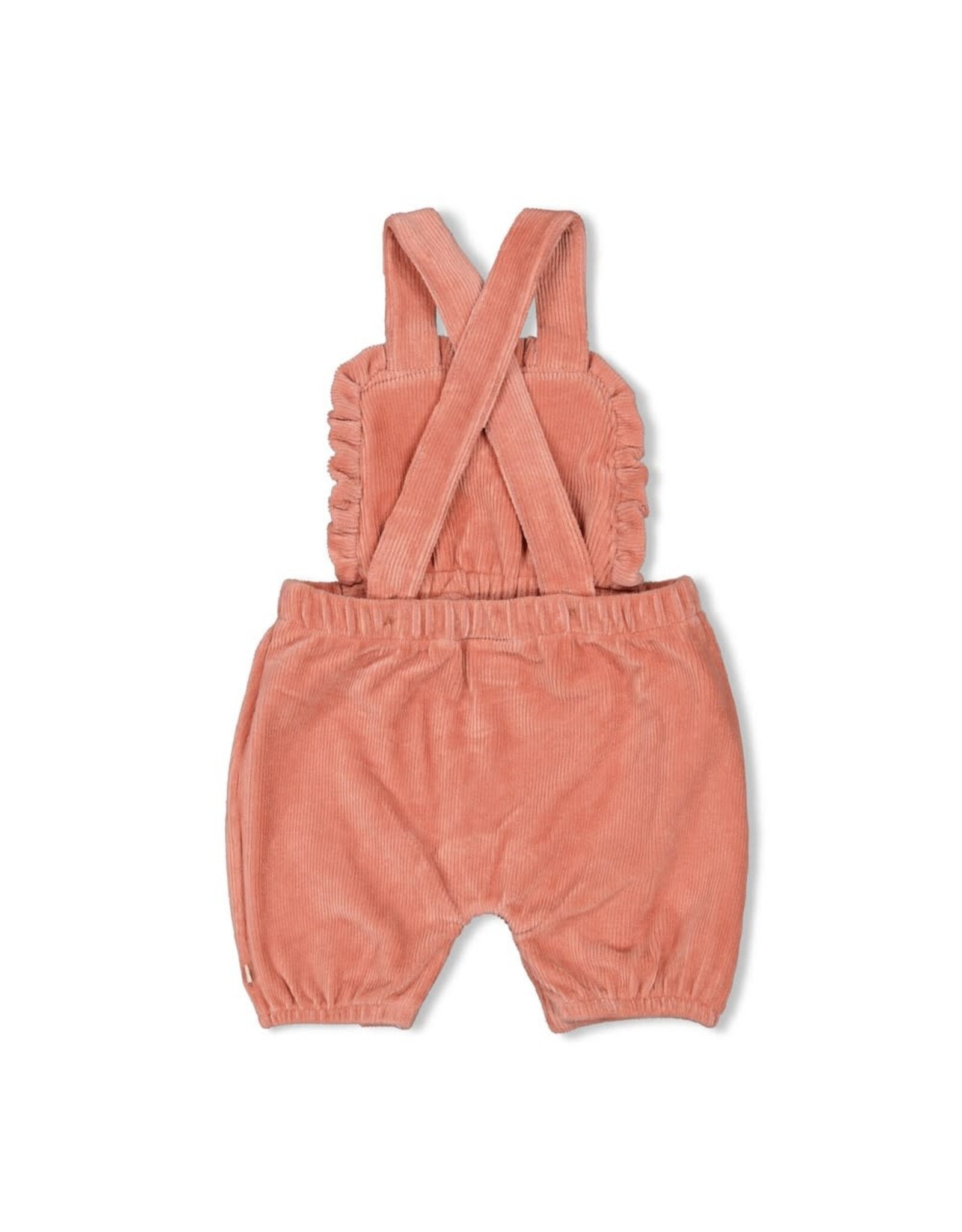 Feetje Tuinbroek kort velours rib - Woodland Bloom Mauve