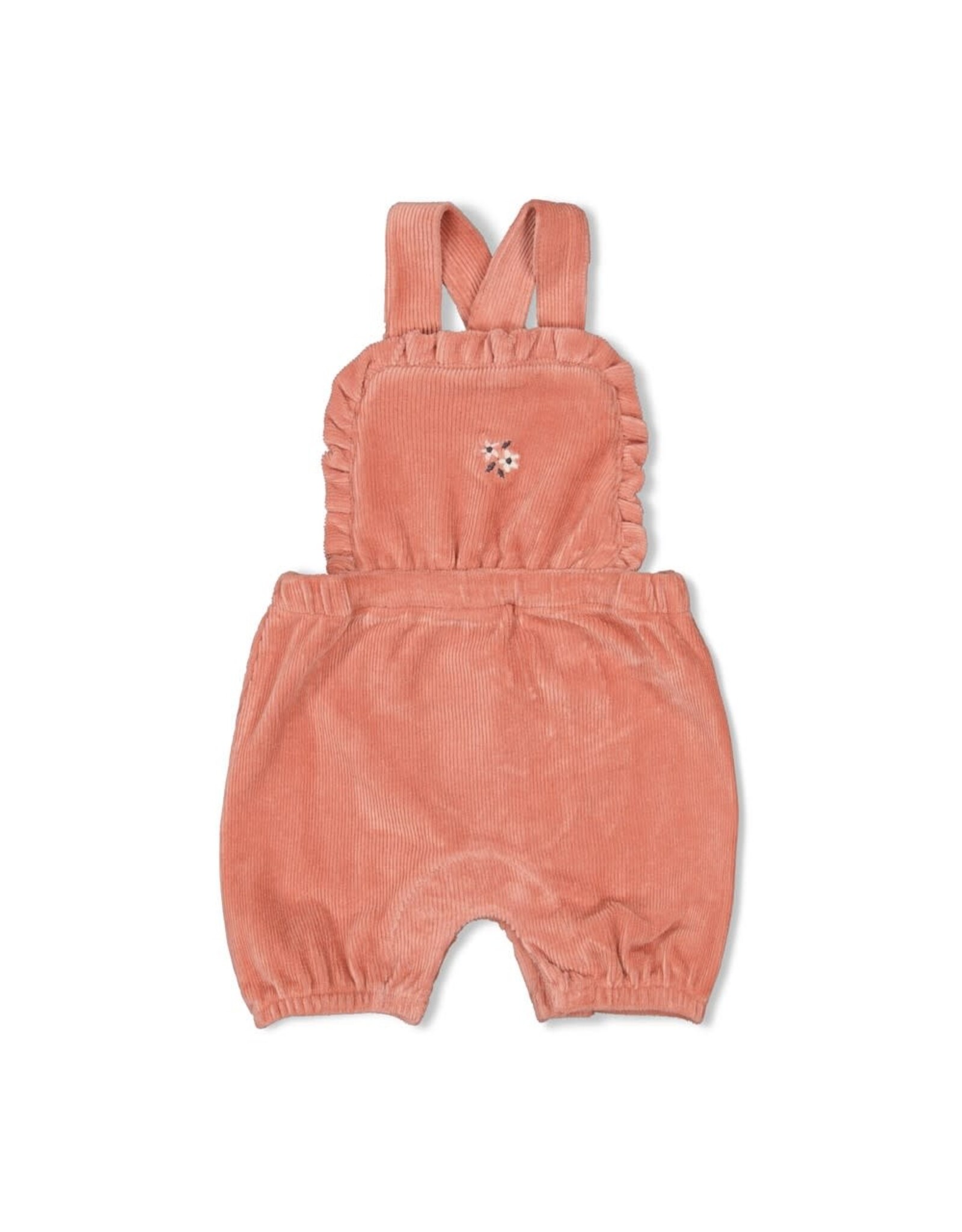 Feetje Tuinbroek kort velours rib - Woodland Bloom Mauve