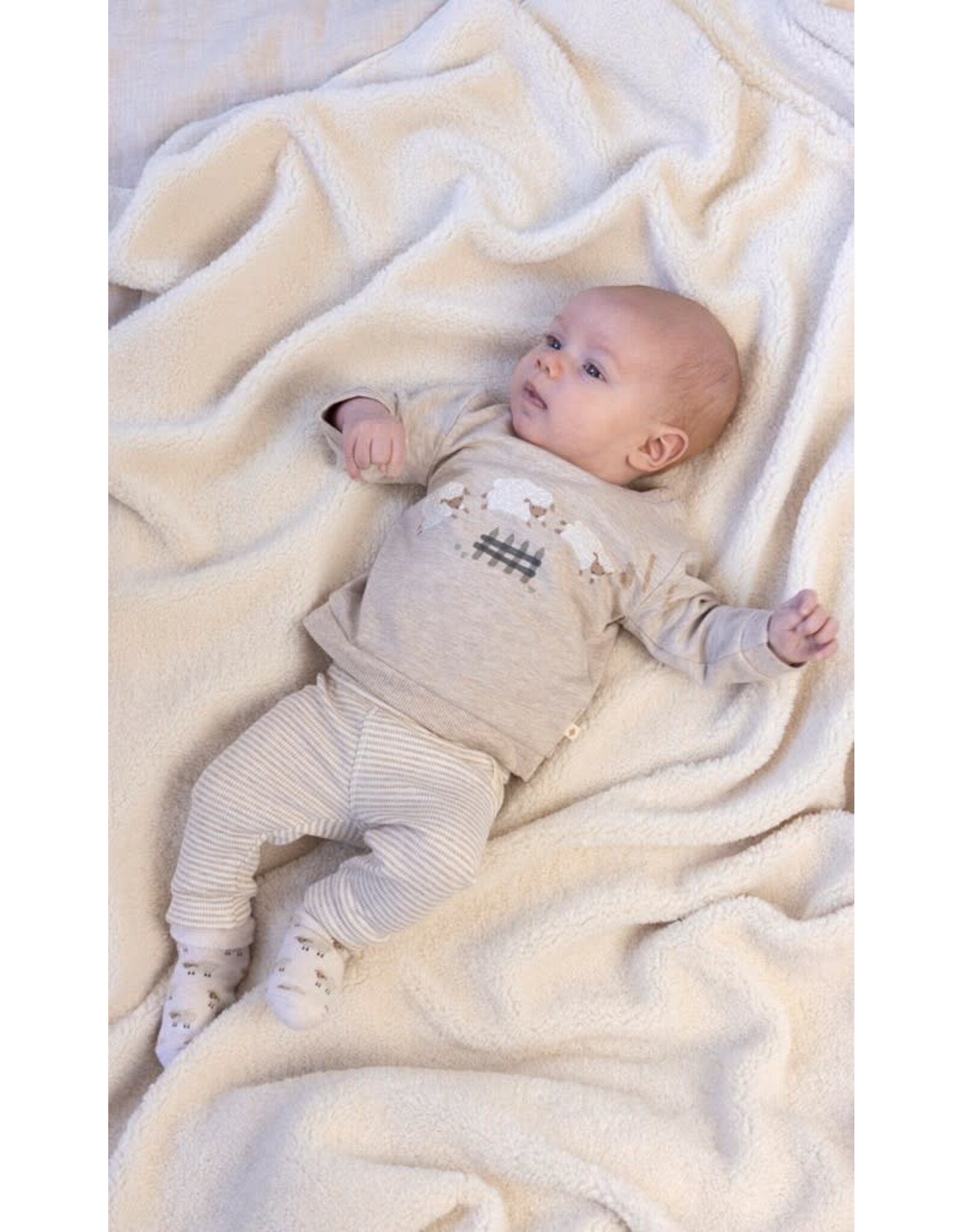 Feetje Broek rib met streep - Sleepy Sheepy Taupe melange