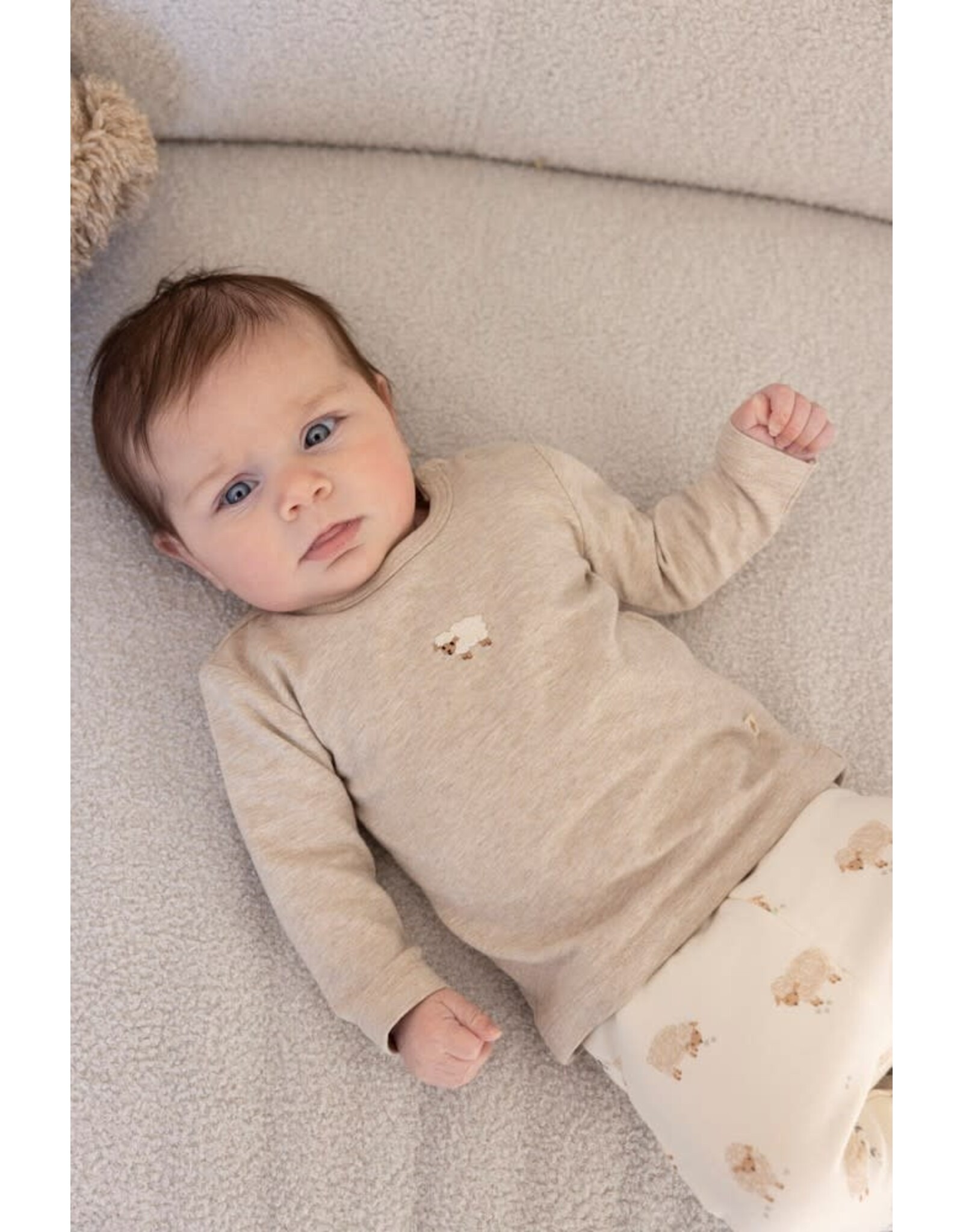 Feetje Longsleeve - Sleepy Sheepy Taupe melange