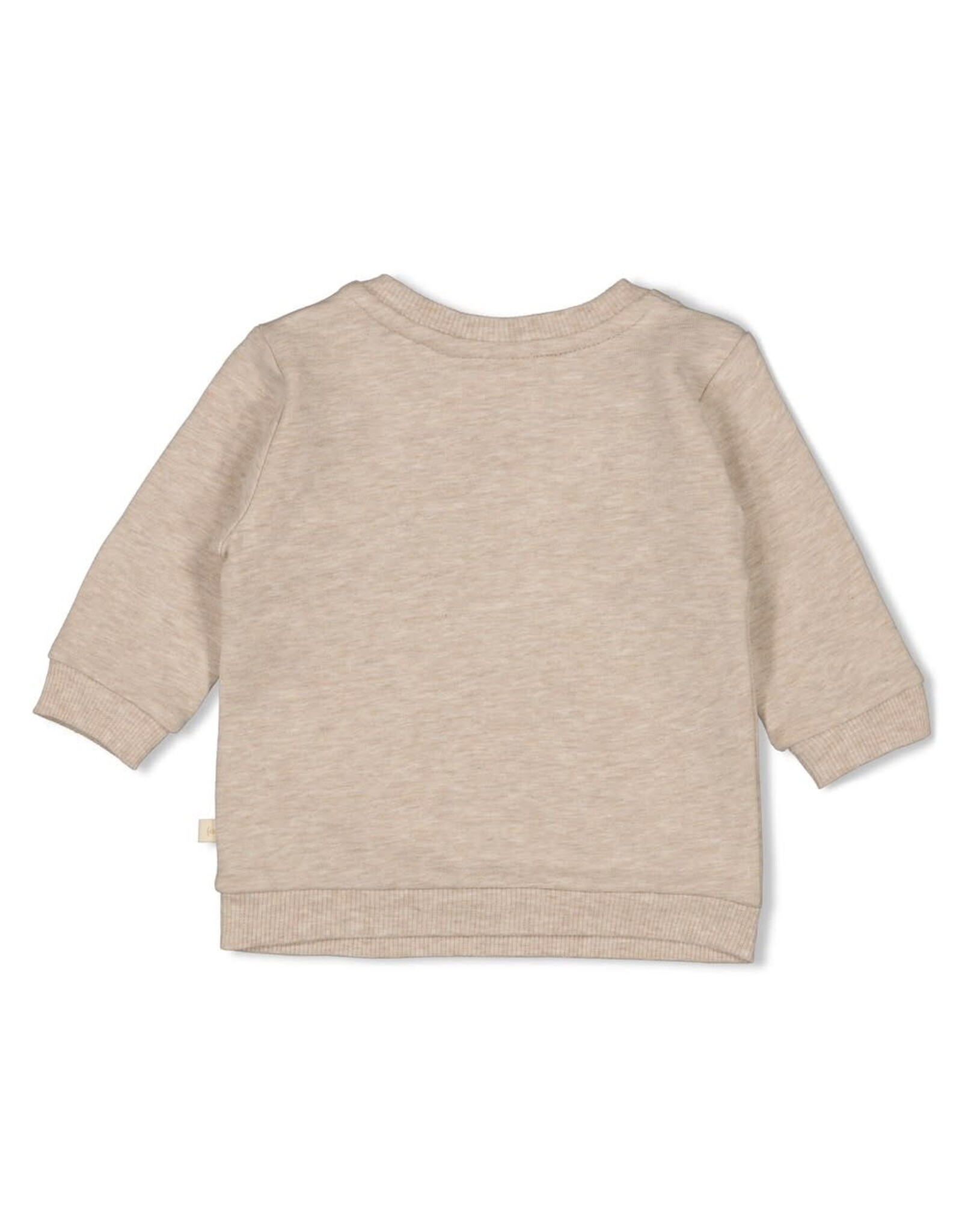 Feetje Sweater - Sleepy Sheepy Taupe melange