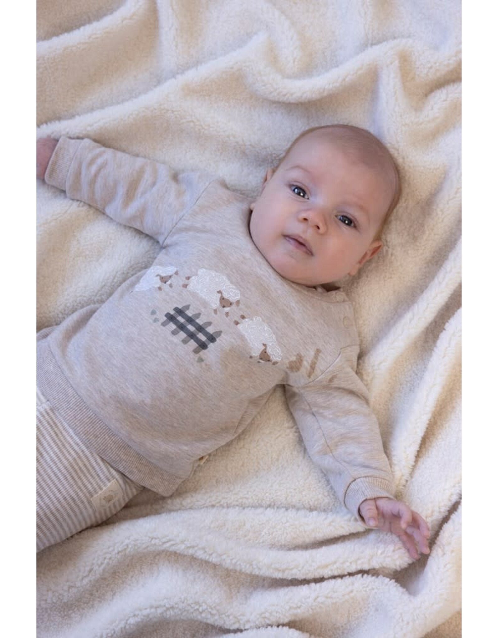 Feetje Sweater - Sleepy Sheepy Taupe melange