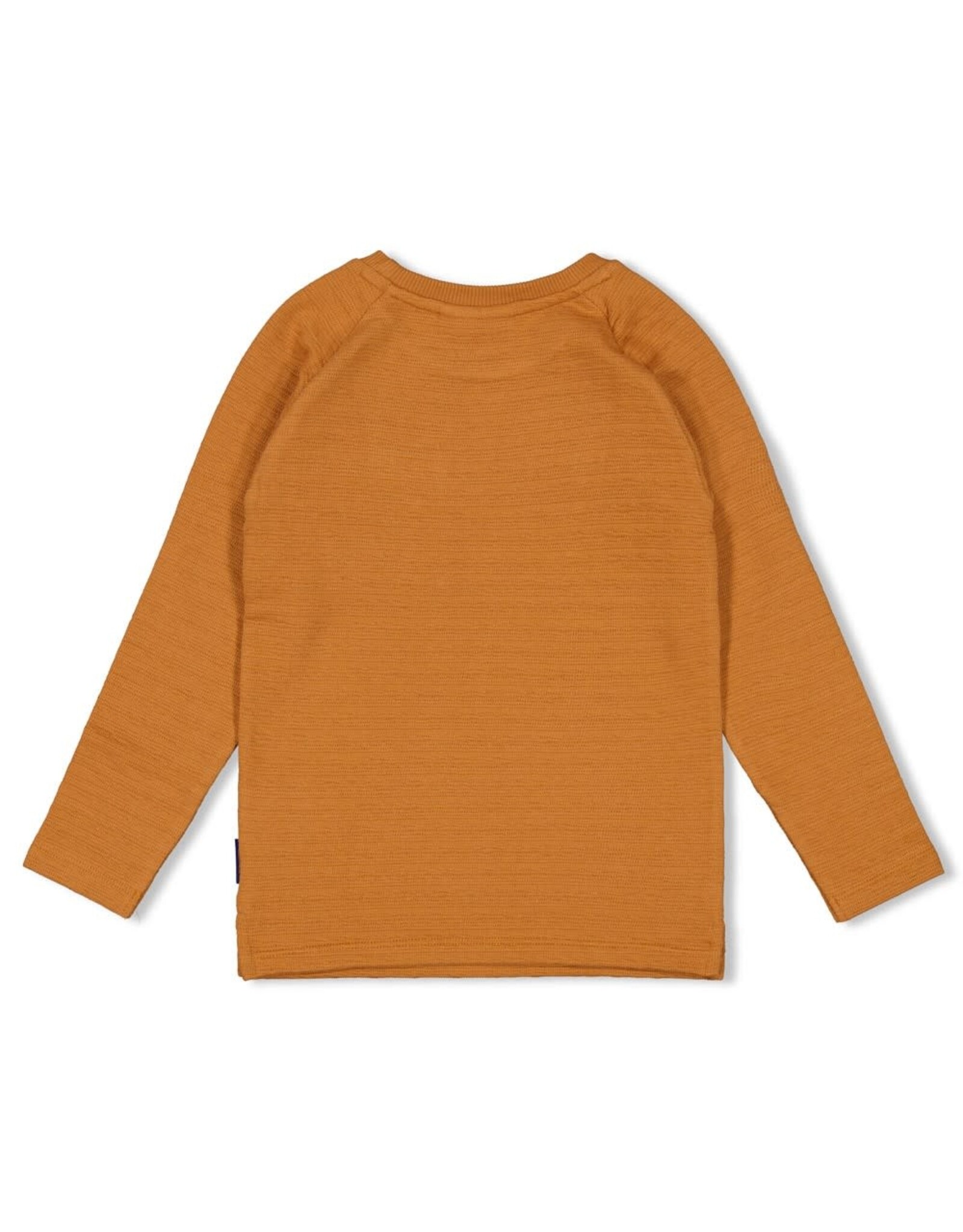 Sturdy Longsleeve - Waves and Whales Hazelnoot