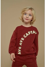 Sturdy Sweater - Waves and Whales Bordeaux