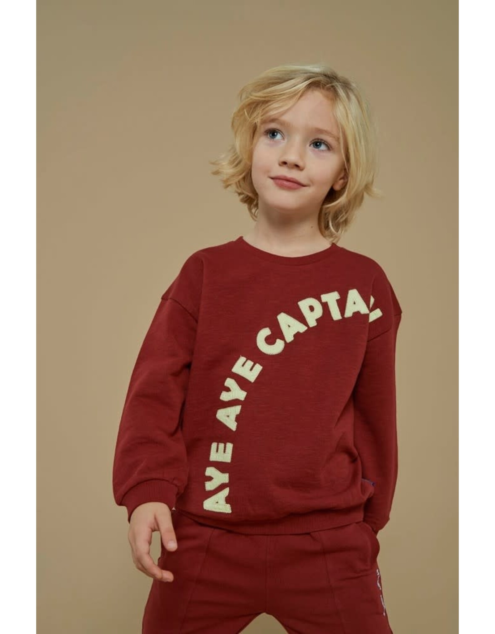 Sturdy Sweater - Waves and Whales Bordeaux