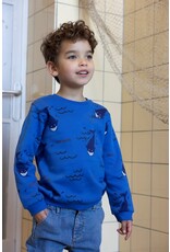 Sturdy Sweater AOP - Waves and Whales Bordeaux Aqua