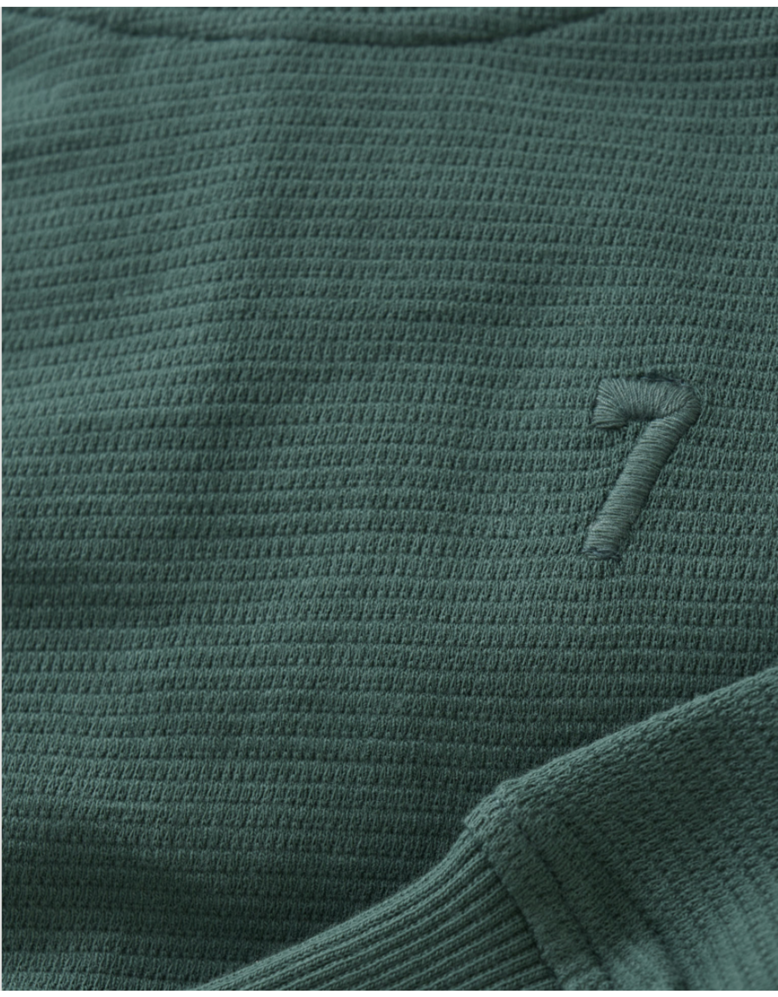 Daily7 T-shirt Longsleeve Logo Blue Spruce