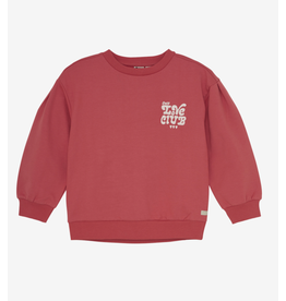 Daily7 Sweater Brushed Print Baked Apple