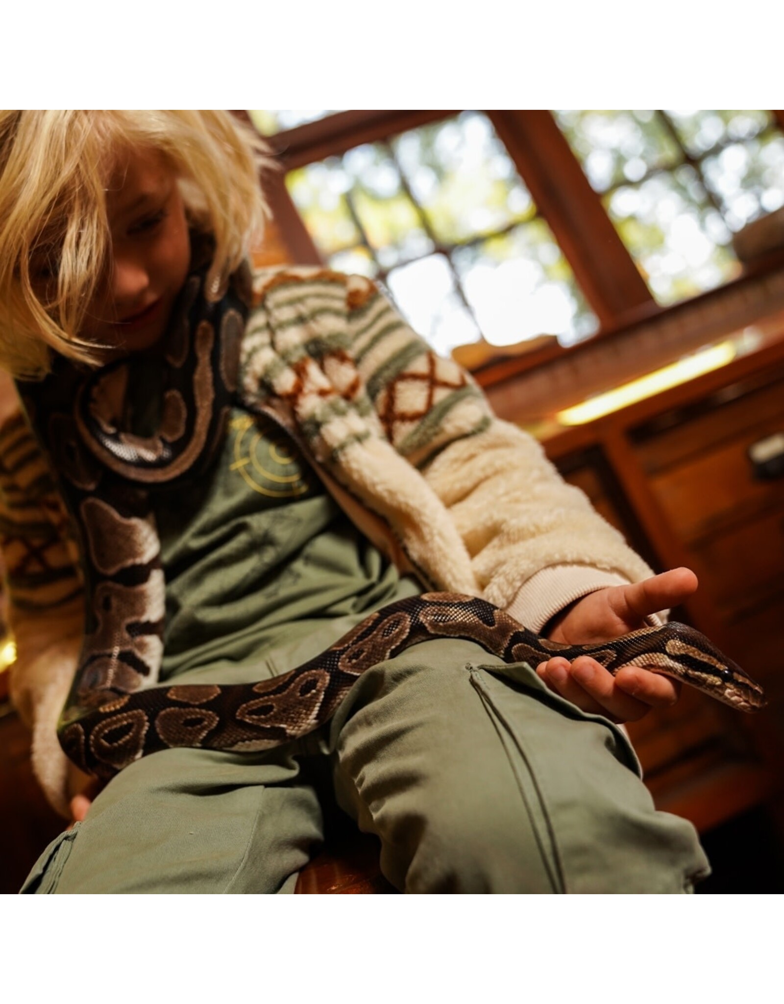 Koko Noko T-shirt ls Green - W25