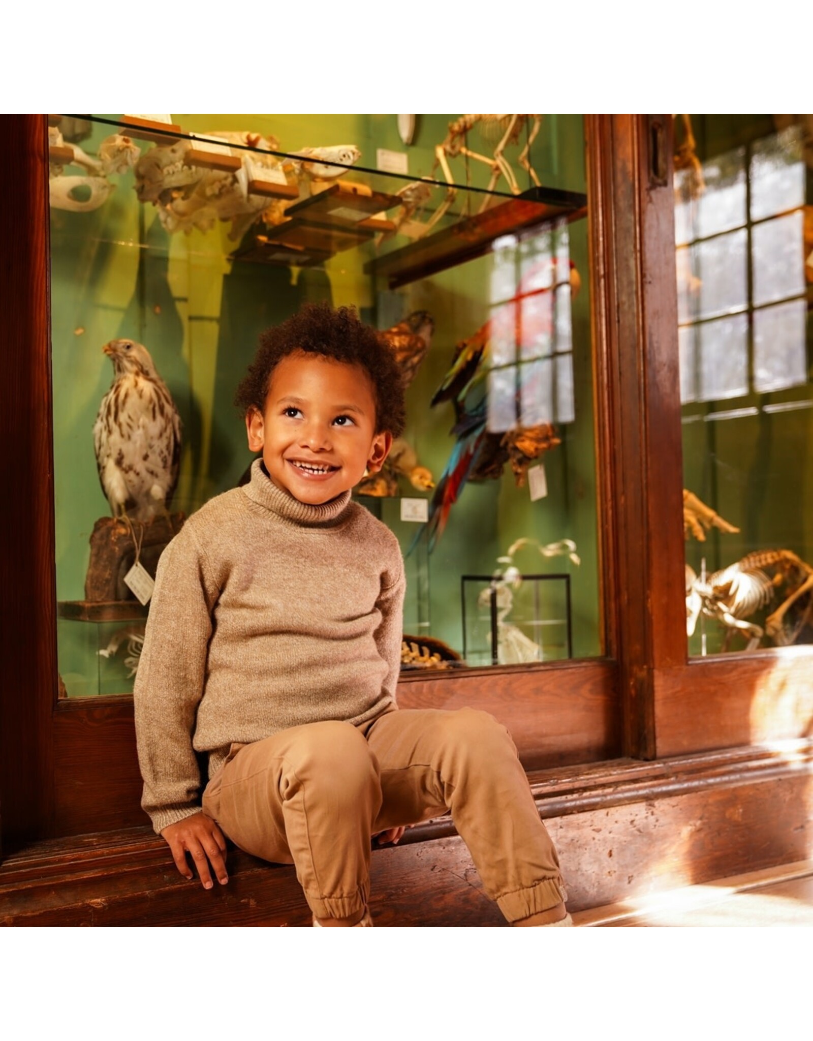 Koko Noko Sweater with rollneck Dark sand W25