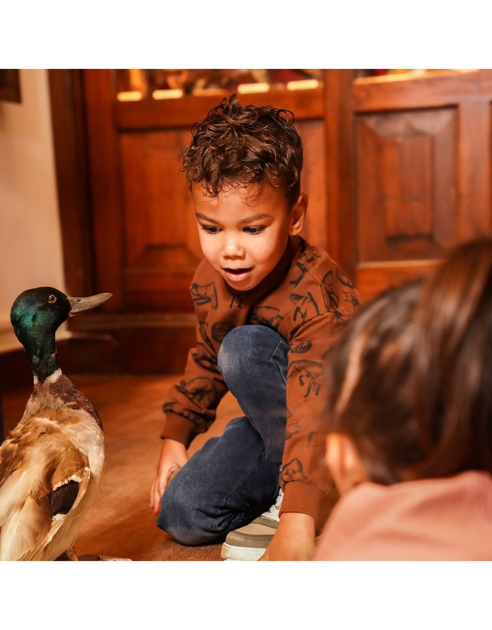 Koko Noko Sweater dropped shoulder with crewneck Brown