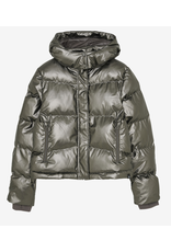 Indian Blue Jeans Metallic Jacket  Pale Gold