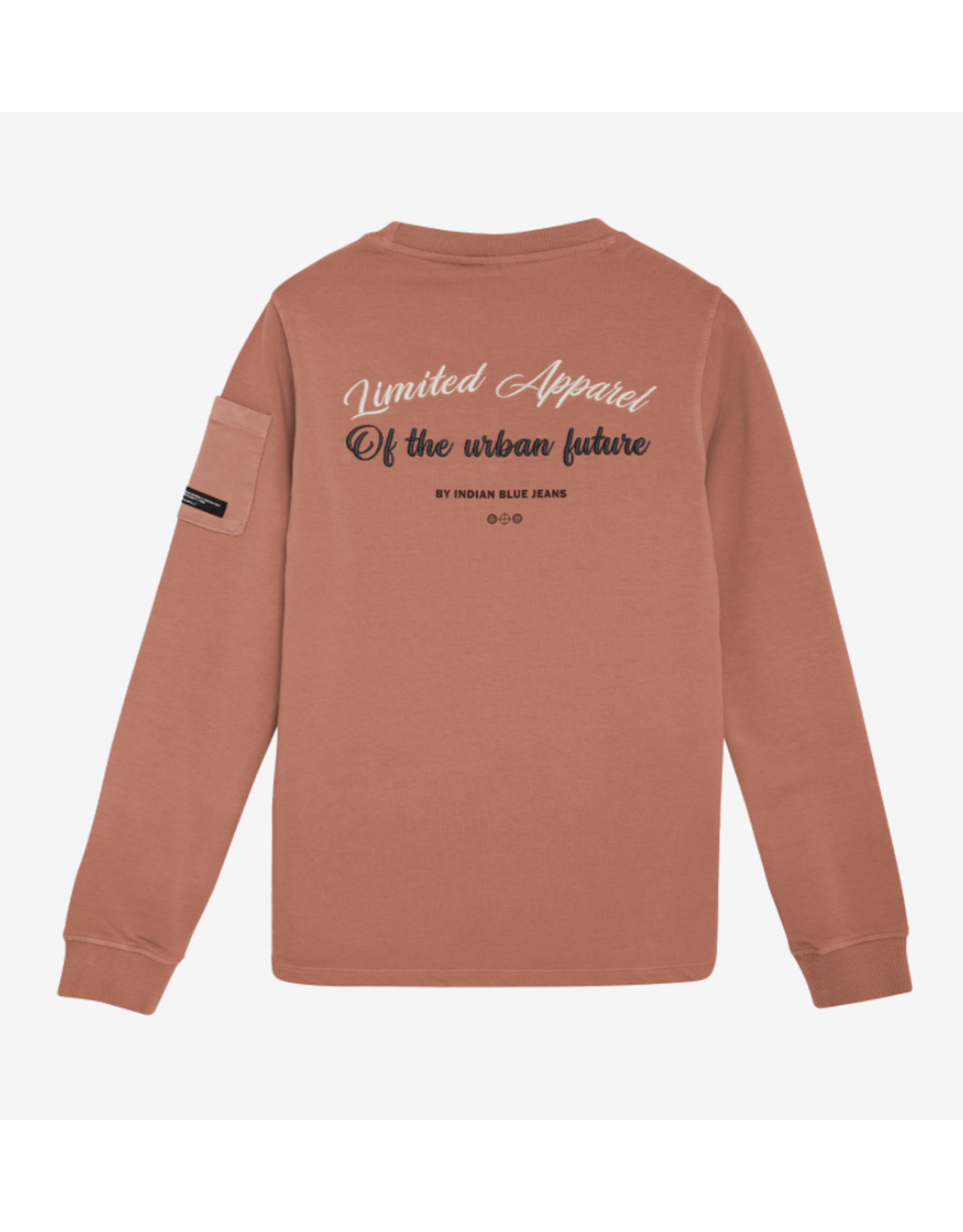 Indian Blue Jeans T-Shirt Longsleeve Backprint Burlwood