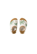 Salted Stories Crown Tree | Water Shoes