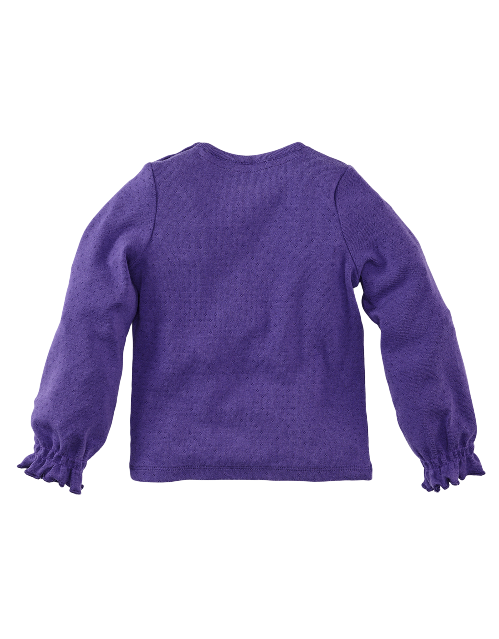 Z8 Violette Purpureus