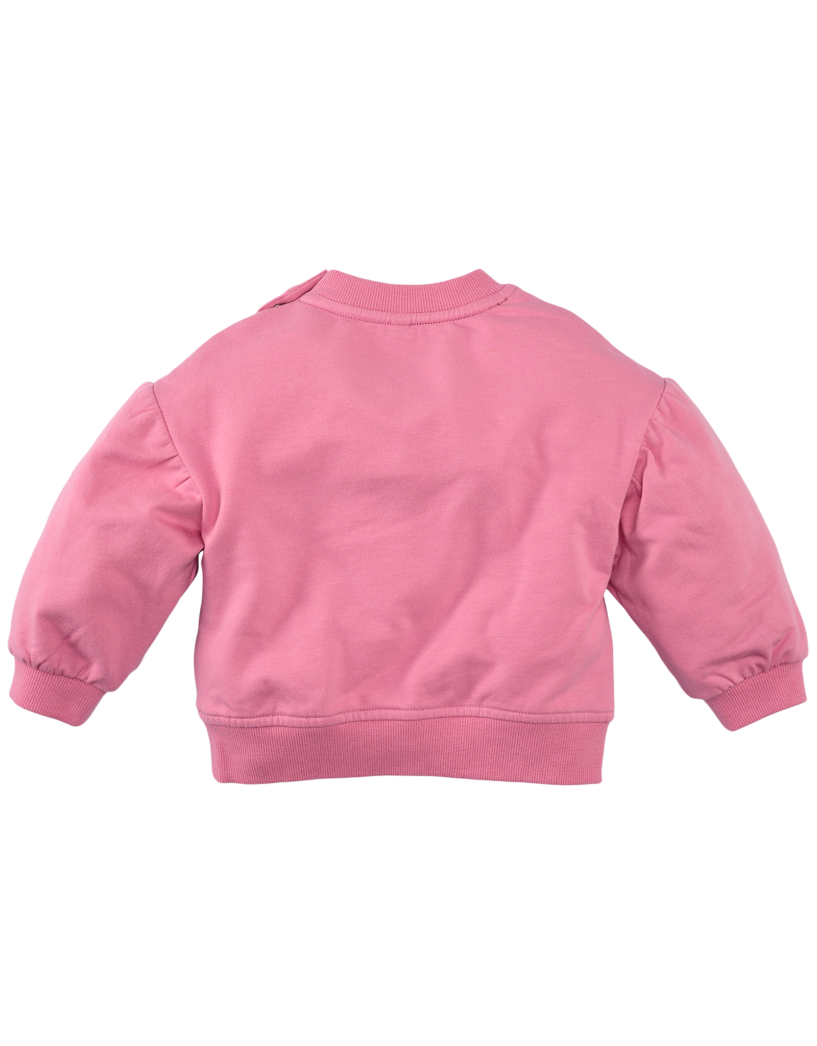 Z8 Lichelle Wild rose