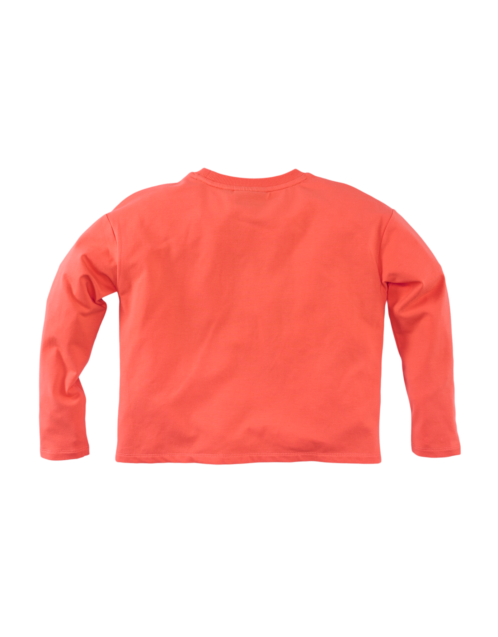 Z8 Caelin Tropical coral