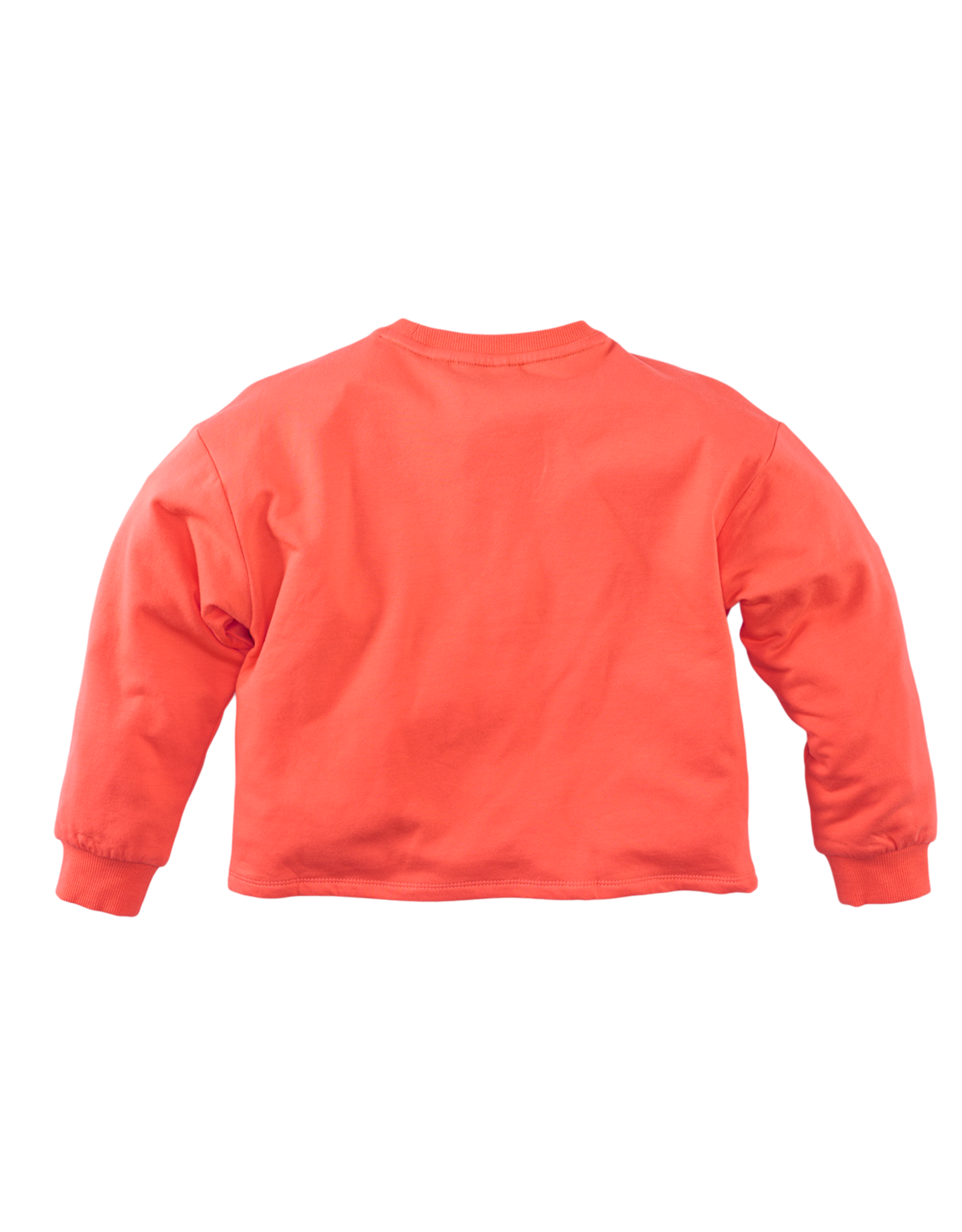 Z8 Nowella Tropical coral