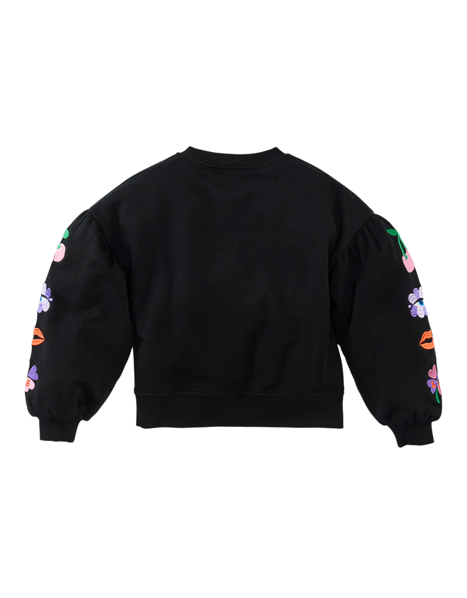Z8 Zahara Night sky