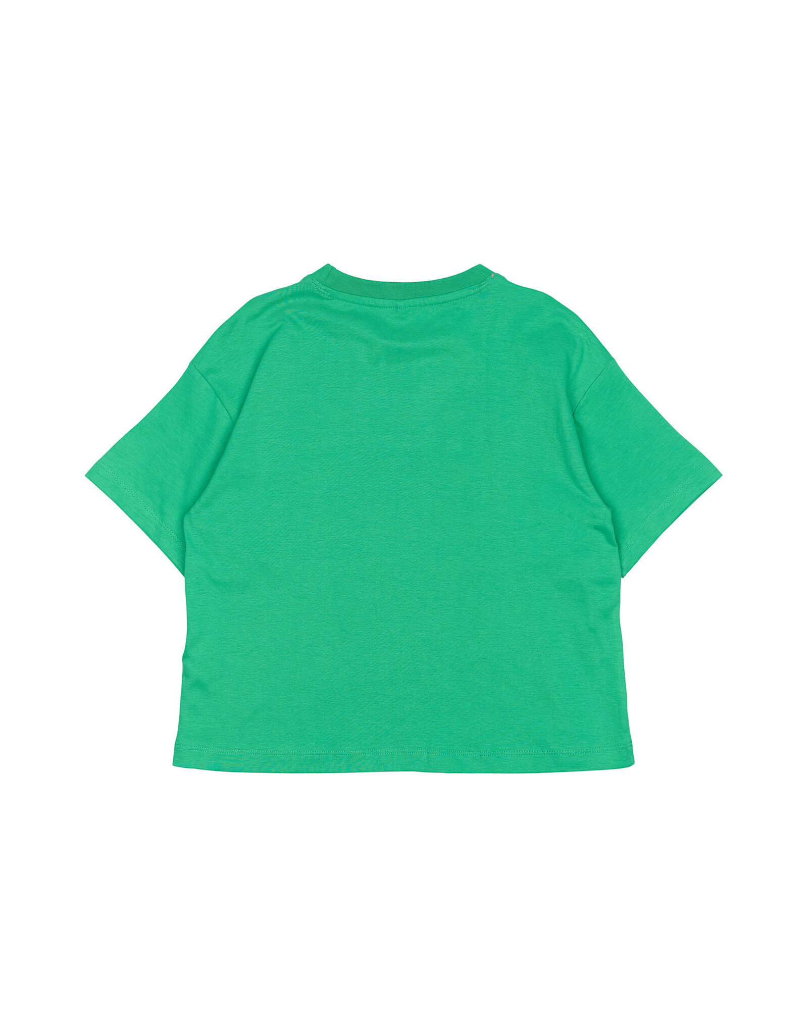 THE NEW TNPraise OS S_S Tee Simply Green