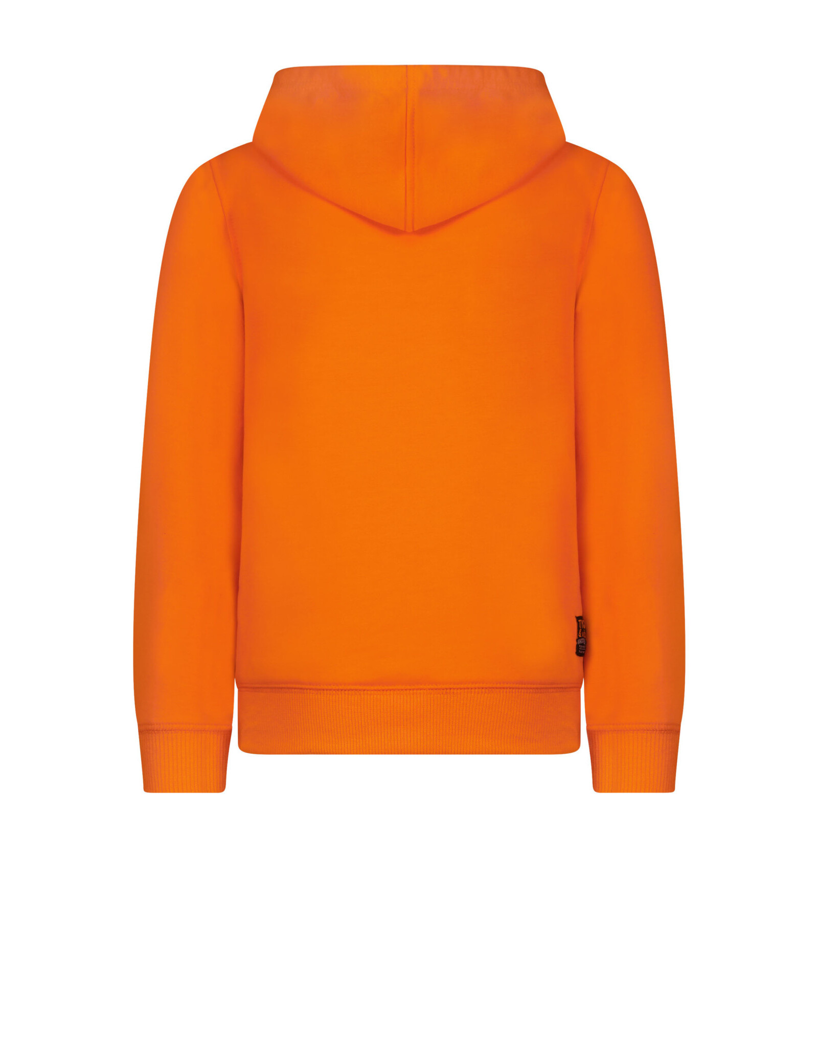 Tygo & vito TV boys hoodie TYGO & vito emb Orange Clownfish