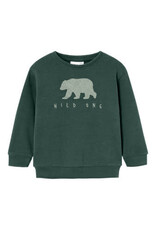 Name it NMMOBEAR NREG SWEAT UNB Garden Topiary