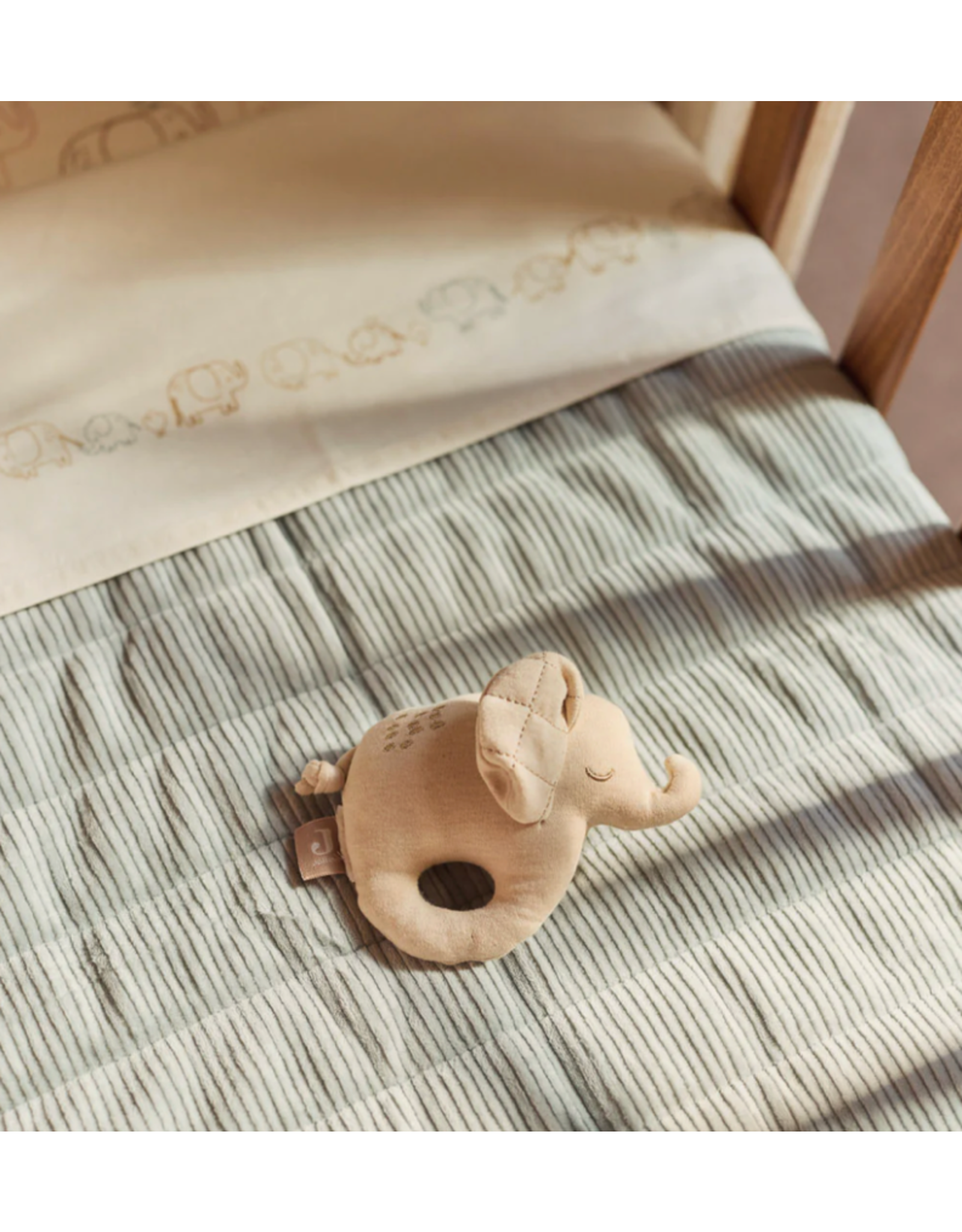 Jollein Rammelaar elephant Tales