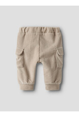Name it NBMRONNYVel Pant Island Fossil