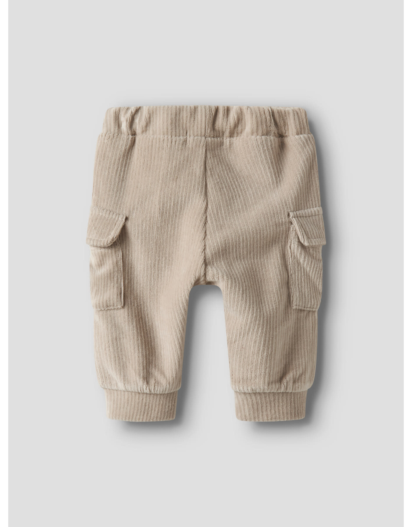 Name it NBMRONNYVel Pant Island Fossil