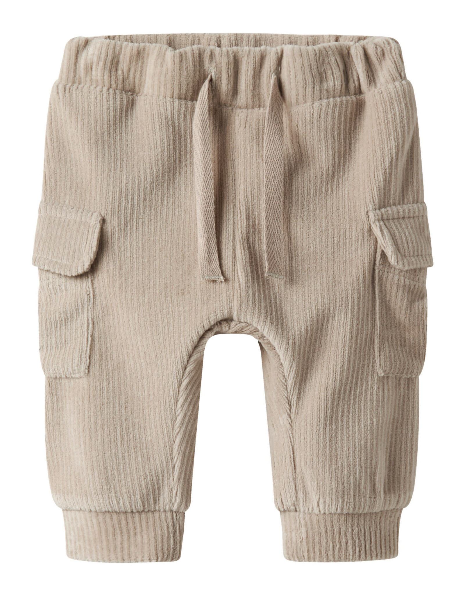 Name it NBMRONNYVel Pant Island Fossil