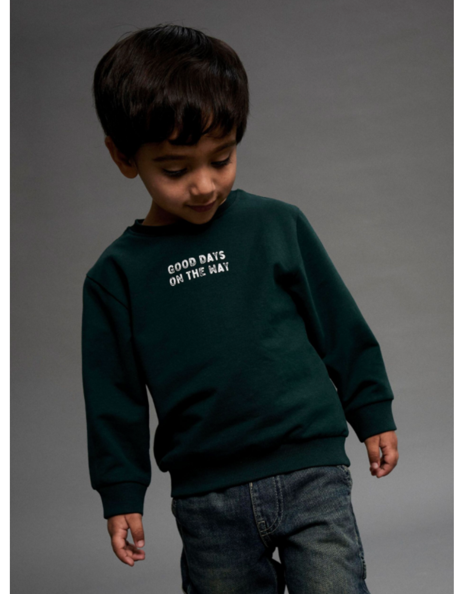Name it NMMSLADE LS NREG Sweat Bru Pine Grove