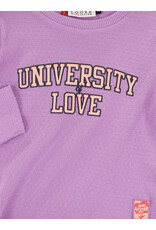 Little Looxs Little Ajour rib T-shirt LS Soft Apricot s26