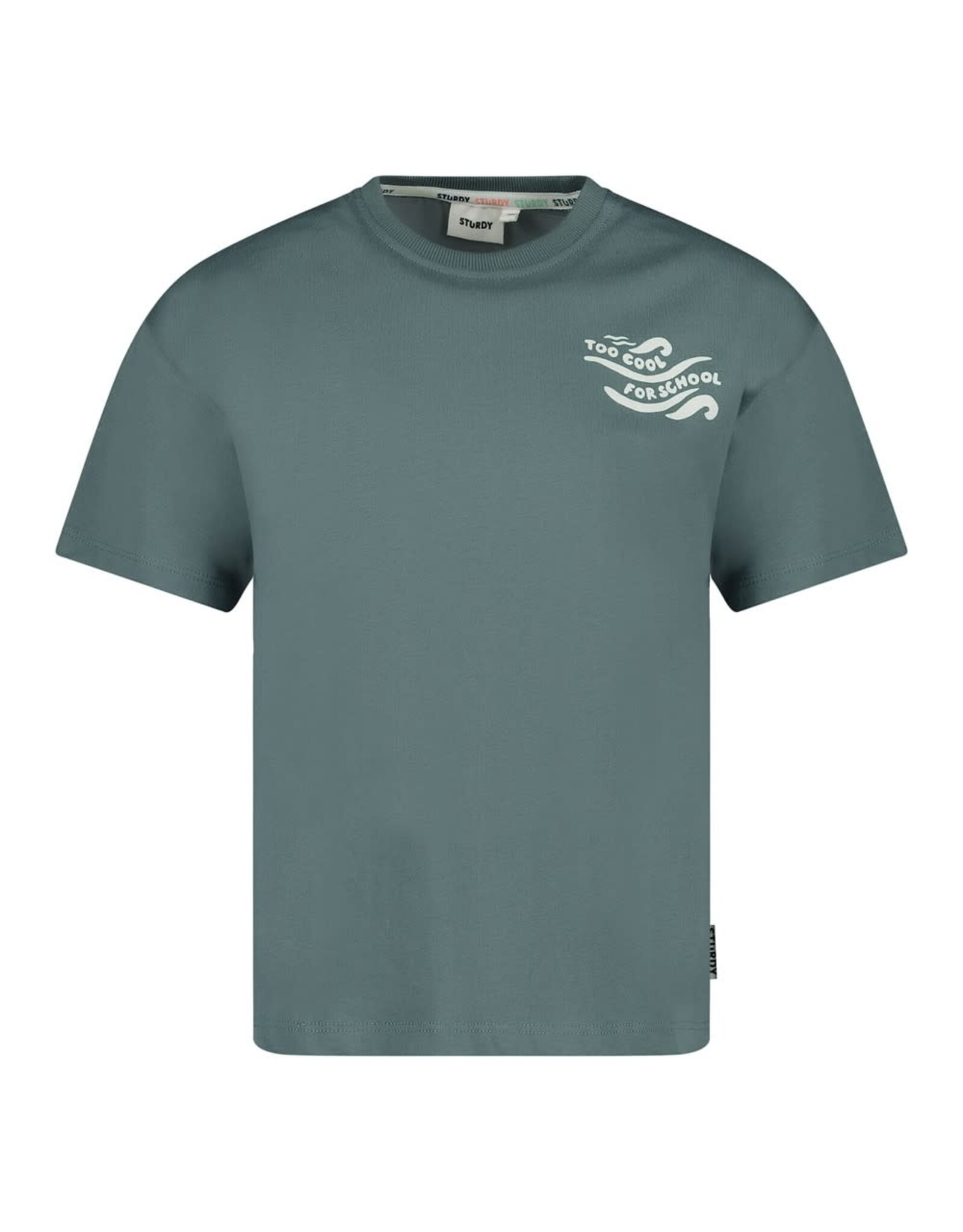 Sturdy T-shirt oversized - Lagoon Legends Petrol