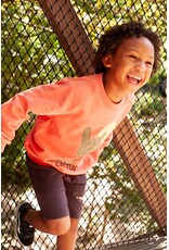 Sturdy Short - Desert Fiesta d.Bruin