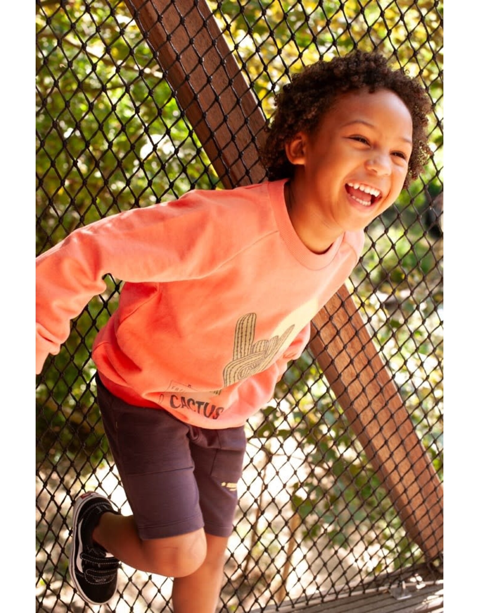 Sturdy Short - Desert Fiesta d.Bruin