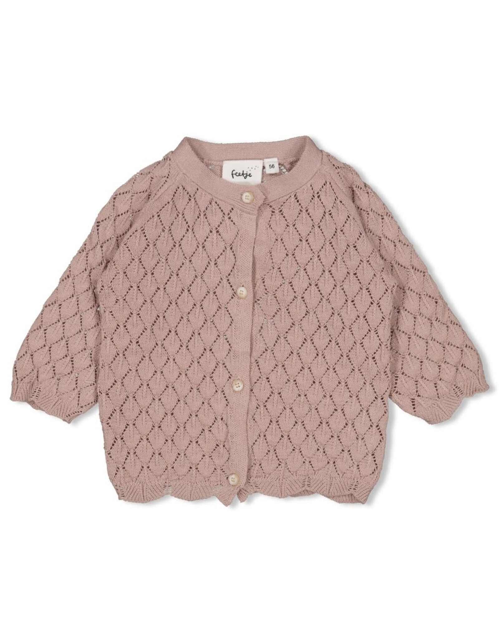 Feetje Vestje gebreid - Delicate Flower Taupe