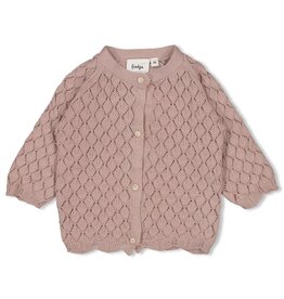 Feetje Vestje gebreid - Delicate Flower Taupe