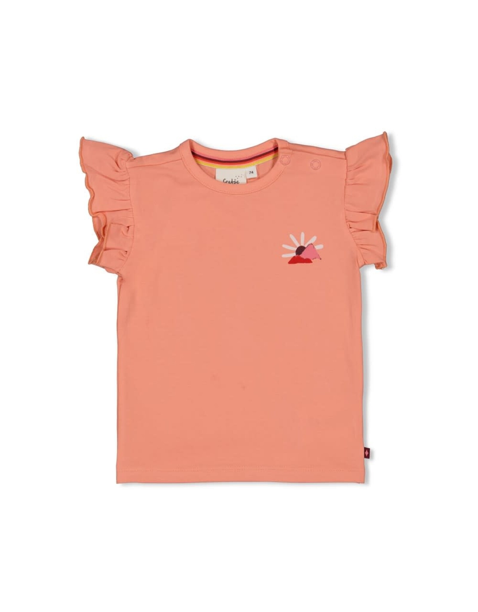 Feetje T-shirt - Salsa Sunset Zalm