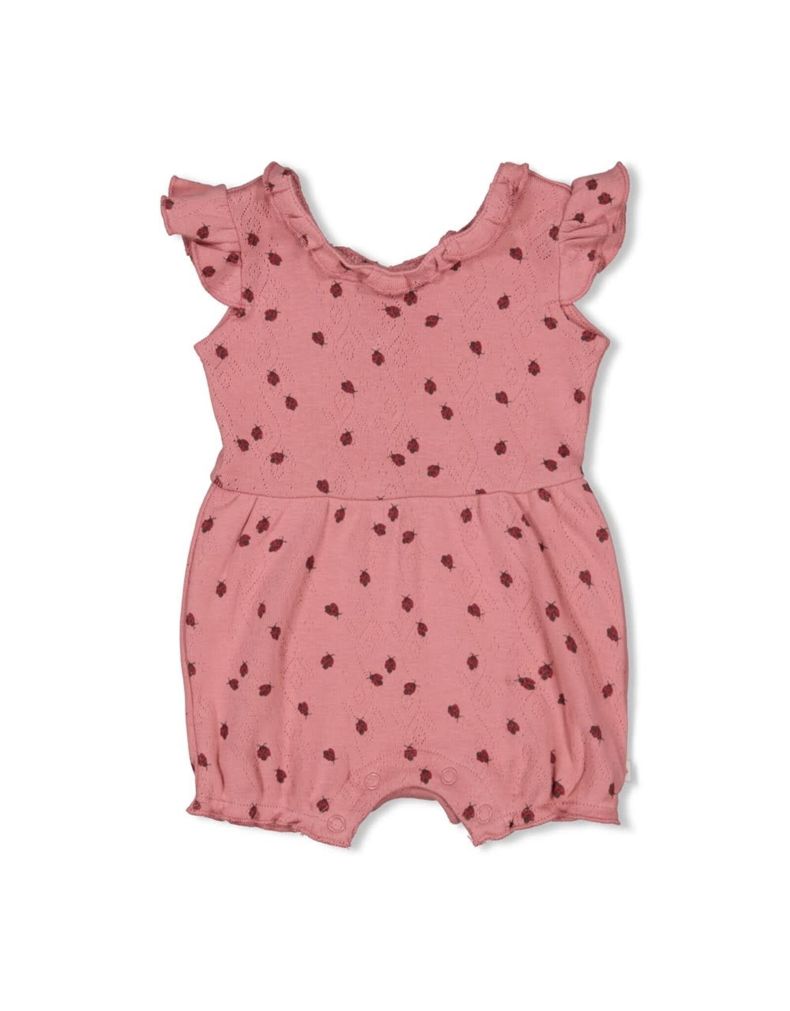 Feetje Playsuit ajour rib AOP - Ladybug Roze